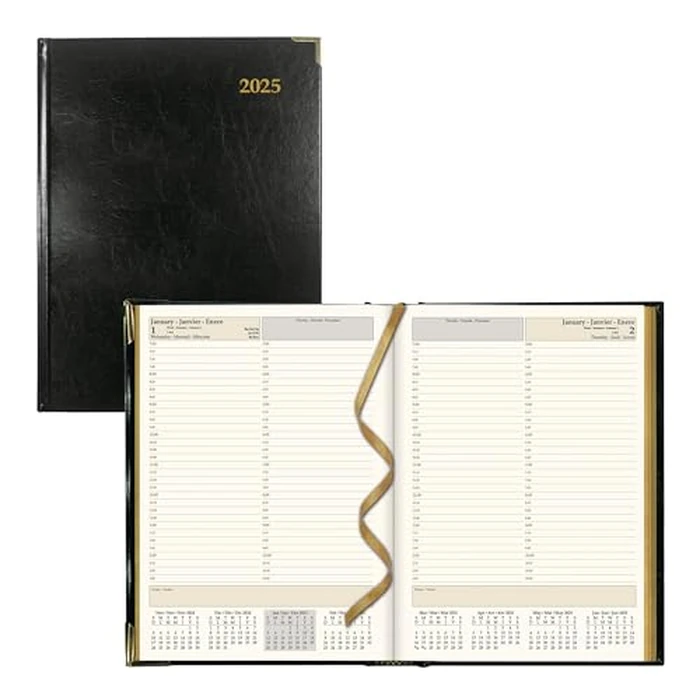 Brownline(R) 2025 Executive Daily Planner, Appointment Book, 12 Months, January to December, Sewn Binding, 10.75" x 7.75", Black, Trilingual (CBE514-25) by Brownline - Image 1