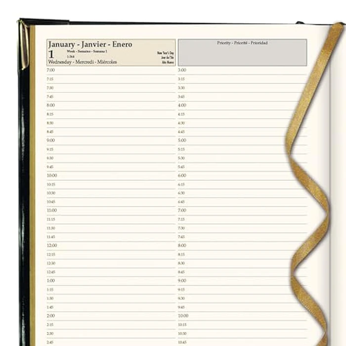 Brownline(R) 2025 Executive Daily Planner, Appointment Book, 12 Months, January to December, Sewn Binding, 10.75" x 7.75", Black, Trilingual (CBE514-25) by Brownline - Image 5