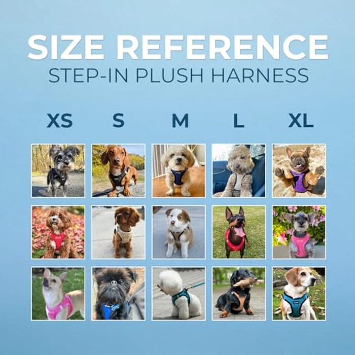Voyager Step-in Plush Dog Harness - Soft Plush, Step in Vest Harness for Small and Medium Dogs by Best Pet Supplies - Turquoise Plush (Leash Bundle), M (Chest: 16-18"), (206S-TQB-TQ-M) by Best Pet Supplies - Image 6