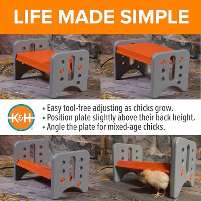 K&H Pet Products Chicken Brooder Heater for Chicks Ducklings, Adjustable Heating Plate for Brooder Boxes, Warms up to 15 Chicks, Chicken Coop Poultry Heating with Safety Light, Small 25 Watts by K&H Pet Products - Image 5