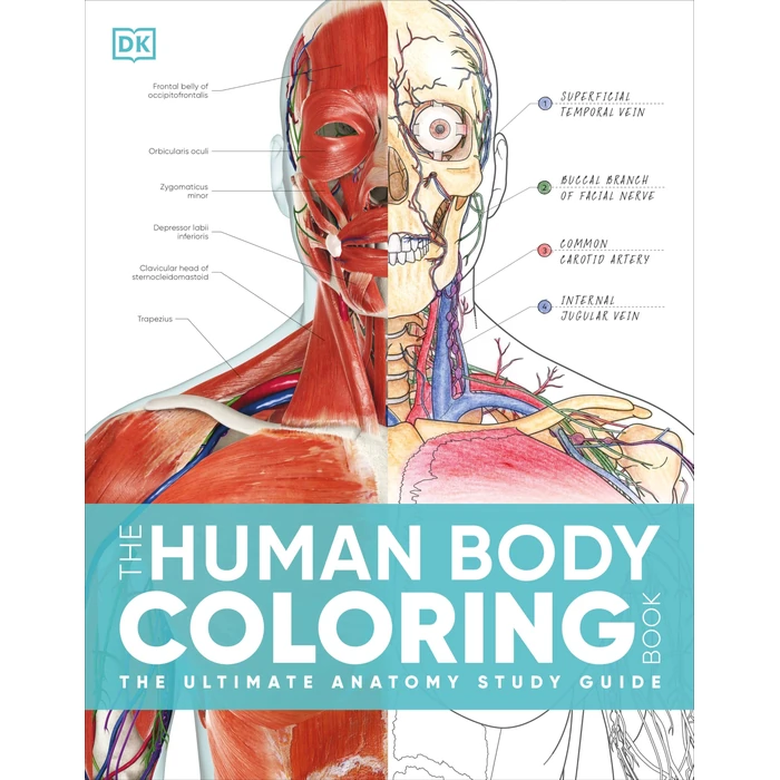 The Human Body Coloring Book: The Ultimate Anatomy Study Guide, Second Edition (DK Human Body Guides) by DK - Used - Good condition - US$5.85