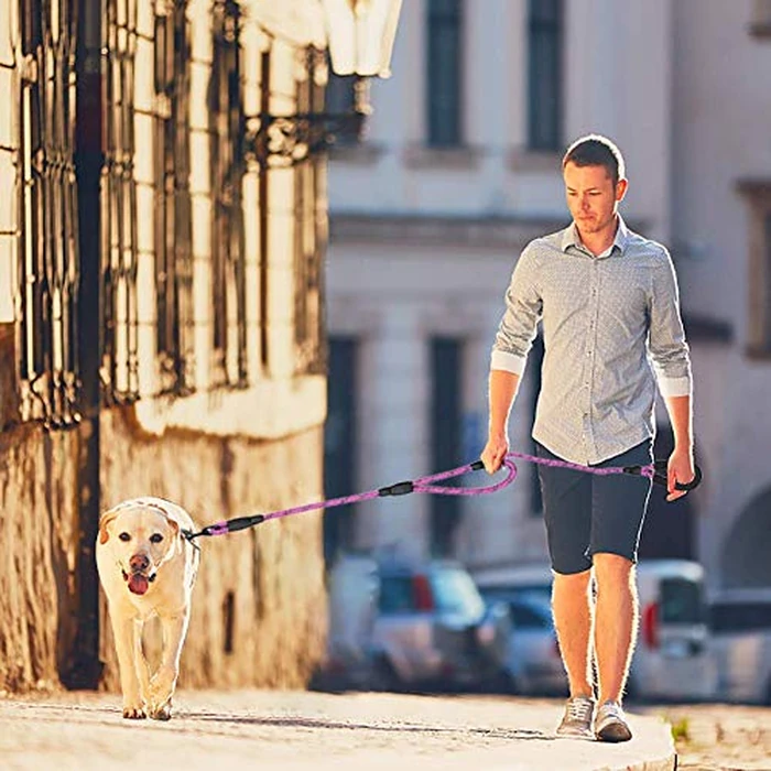DDSCOLOUR Heavy Duty Dog Leash 5-6ft Long with Comfortable Padded Handle Training Lead Reflective Mountain Climbing Rope Dog leashes Walking Training Leash for Medium Large Purple by DDSColour - Image 7