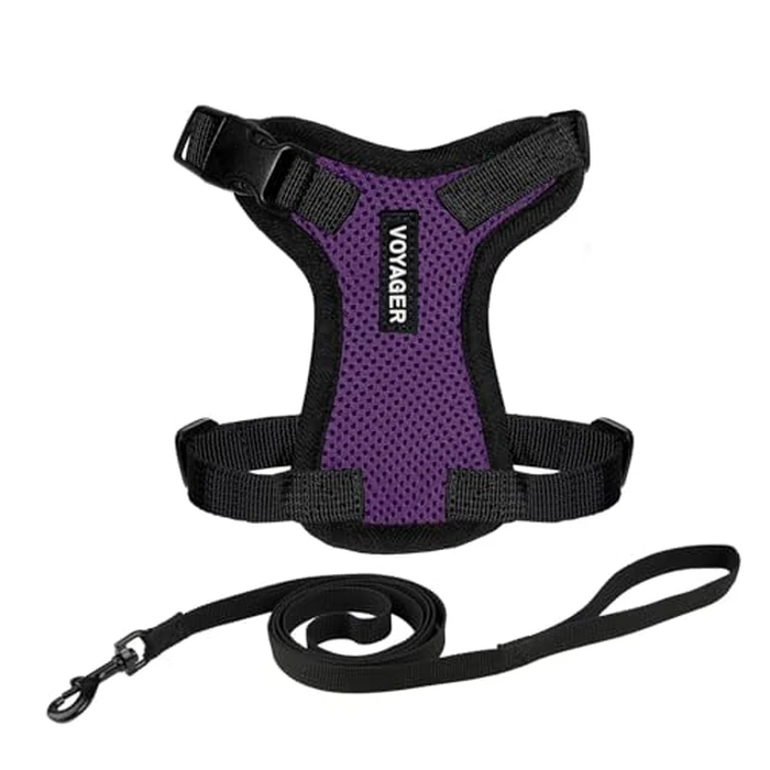 Voyager Step-in Lock Adjustable Cat Harness w. Cat Leash Combo Set with Neoprene Handle 5ft - Supports Small, Medium and Large Breed Cats by Best Pet Supplies - Purple/Black Trim, XS by Best Pet Supplies - Image 1