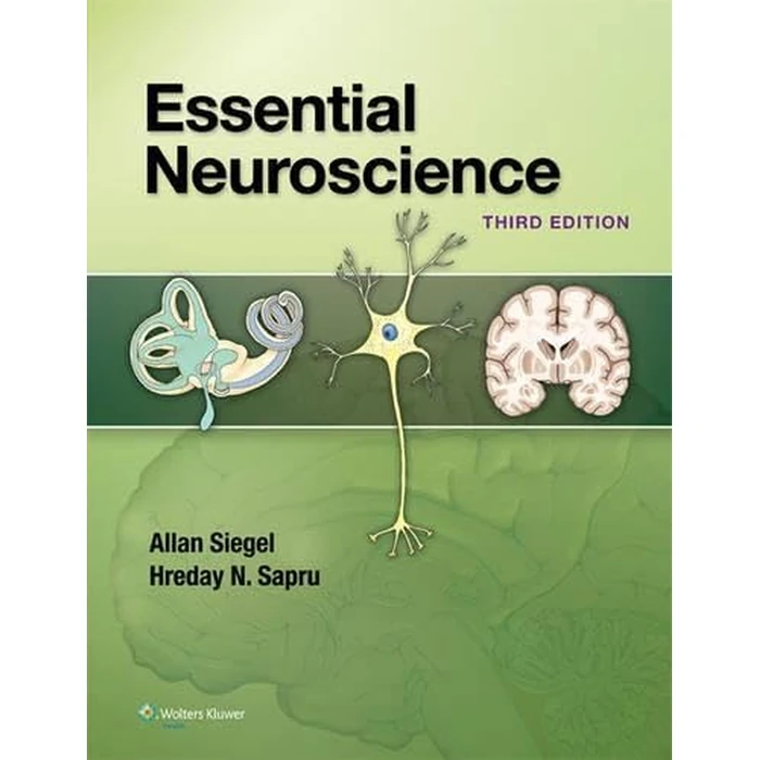 Essential Neuroscience by Lippincott Williams & Wilkins - Image 1