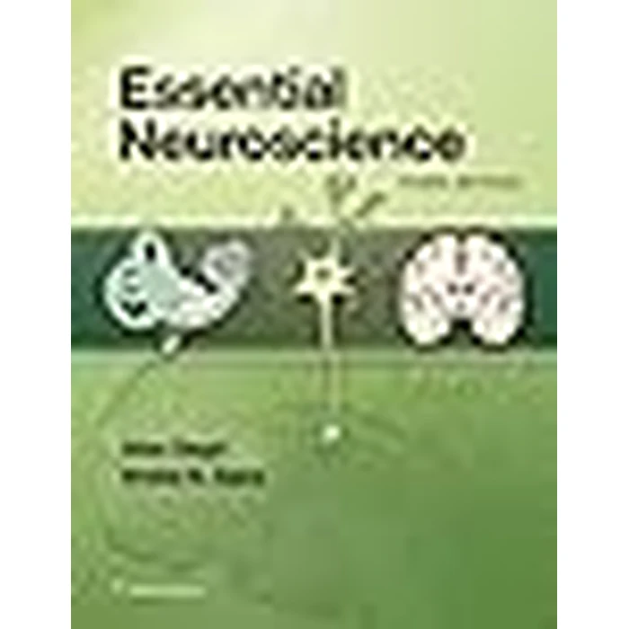 Essential Neuroscience by Lippincott Williams & Wilkins - Image 2