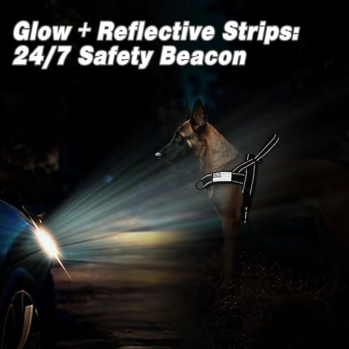 Forestpaw No Pull Dog Harness with Large Handle,Slip on Reflective Vest with Quick Release Buckle,Comfortable Flannel Lining for Medium Large Dogs Walking Training (Includes 3 Patches),Black L by Forestpaw - Image 4