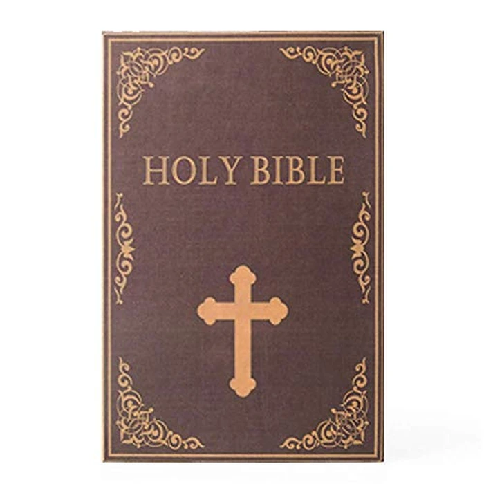 Diversion Book Safe Storage Box, Dictionary Secret Safe Can with Security Combination Lock/Key, Diversion Book Hidden Safe (Bible, M, Key) by PACOLO - Image 6