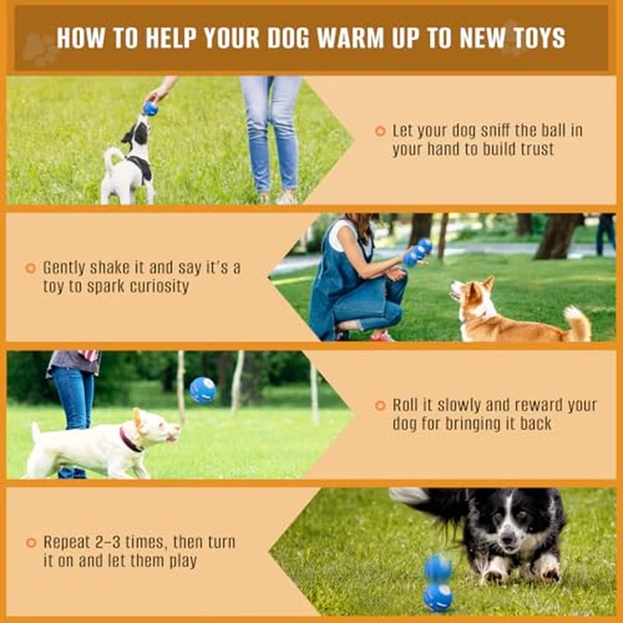 PetDroid Interactive Dog Toys Dog Ball,[Newly Upgraded] Durable Motion Activated Automatic Rolling Ball Toys for/Small/Medium/Large Dogs,USB Rechargeable (Blue) by PetDroid - Image 5