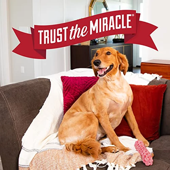 Nature's Miracle Advanced Platinum No More Marking, 24 Ounces, Helps Discourage Repetitive Pet Marking by Nature's Miracle - Image 8