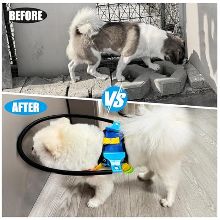 Blind Dog Halo Harness, Protective Halo Dog Collar for Blind Dogs, Confidence Building Harness Guiding Device, Blind Dogs Accessories, XS Black by LetPetRun - Image 3