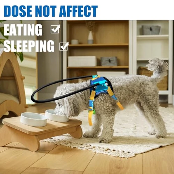 Blind Dog Halo Harness, Protective Halo Dog Collar for Blind Dogs, Confidence Building Harness Guiding Device, Blind Dogs Accessories, XS Black by LetPetRun - Image 6