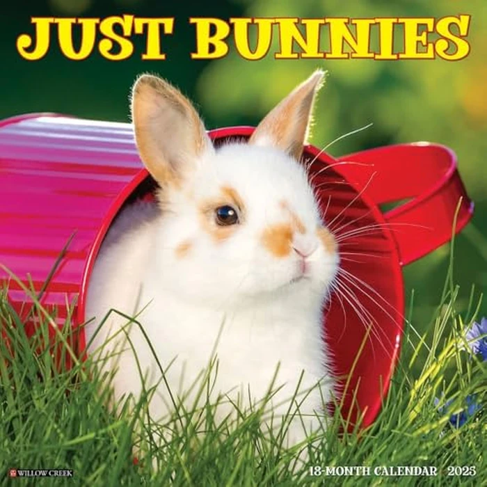 Just Bunnies 2025 12" x 12" Wall Calendar by WILLOW CREEK - Used - Like New condition