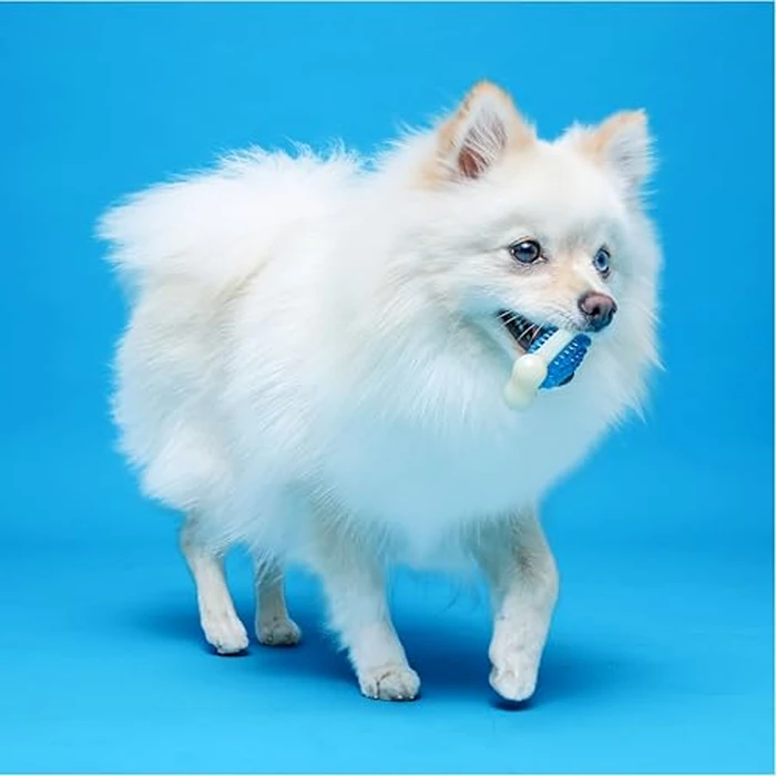 Hartz Chew 'n Clean Tuff Bone Tough Dog Chew Toy, Large 3 Pack by Hartz - Image 7