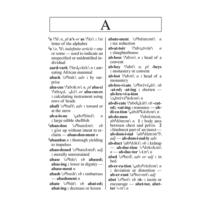 Webster's New Explorer Large Print Dictionary, Third Edition by Federal Street Press - Image 2