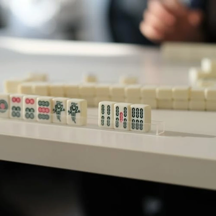 HEY! PLAY! Chinese Mahjong Set with Ornate Storage Case - Traditional Mahjong Tile Game with 146 Engraved Tiles and Two Dice for Adults and Kids by HEY! PLAY! - Image 3