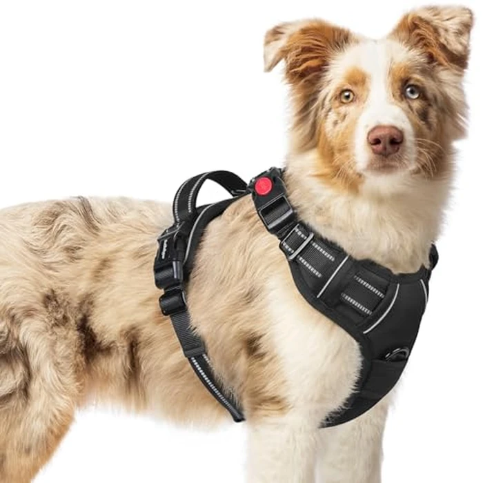 rabbitgoo Dog Harness Medium Sized, No Pull Pet Harness with 3 Buckles, Adjustable Soft Padded Vest with Control Handle, Walking Reflective Pet Vest for Medium Dogs, Black, M by rabbitgoo - Image 1