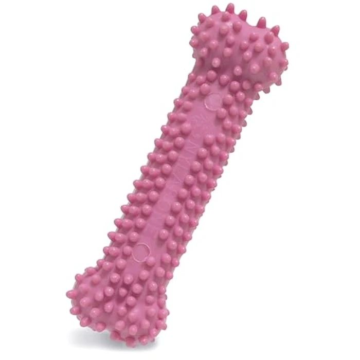 Nylabone Textured Teething Bone Puppy Chew Toy, Soothing Puppy Teething Bone, Enrichment Toy for Puppies, Pink, Chicken Flavor, X-Small Dogs - Up to 15 Ibs, 1 Count by Nylabone - Used - Like New condition