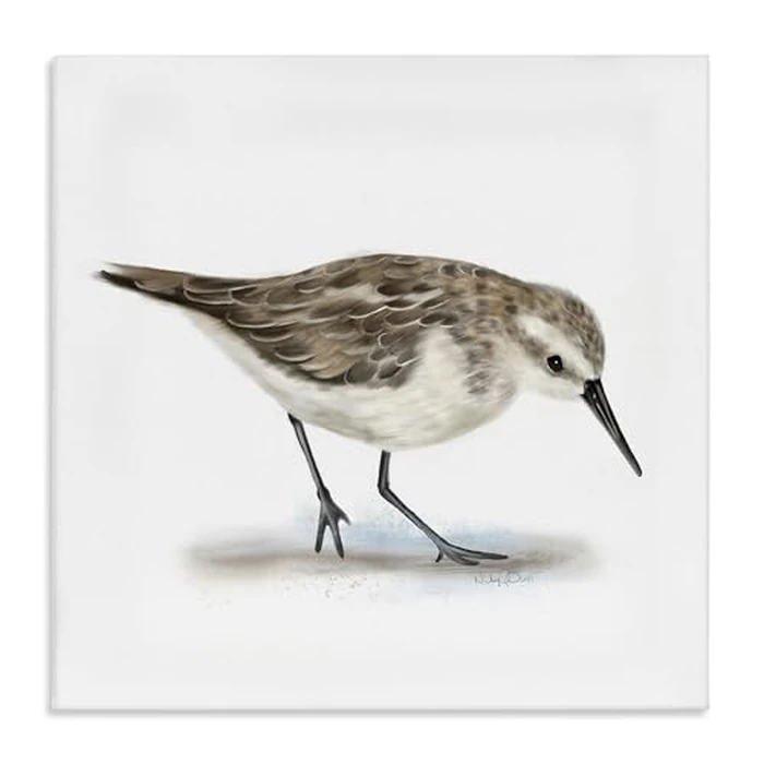 Stupell Industries 'Charming Sandpiper on Soft Sand Brown Nautical Bird', Canvas Art, 17 x 17 Inches, Easy to Hang and Sturdy, Made in USA, by Studio Q by Stupell Industries - Image 1