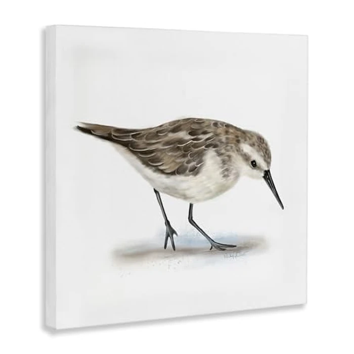 Stupell Industries 'Charming Sandpiper on Soft Sand Brown Nautical Bird', Canvas Art, 17 x 17 Inches, Easy to Hang and Sturdy, Made in USA, by Studio Q by Stupell Industries - Image 2