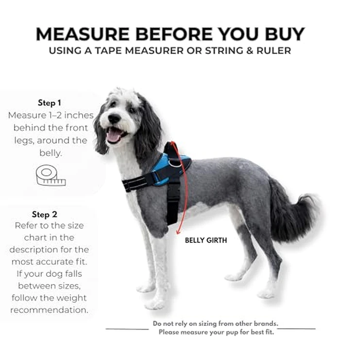 ShawnCo Essential Dog Harness, No-Pull Pet Vest with 3 Leash Clips, No Choke, Reflective, Adjustable and Padded, for Easy Walking and Training for Small, Medium and Large Dogs (Midnight, L) by SHAWNCO - Image 5