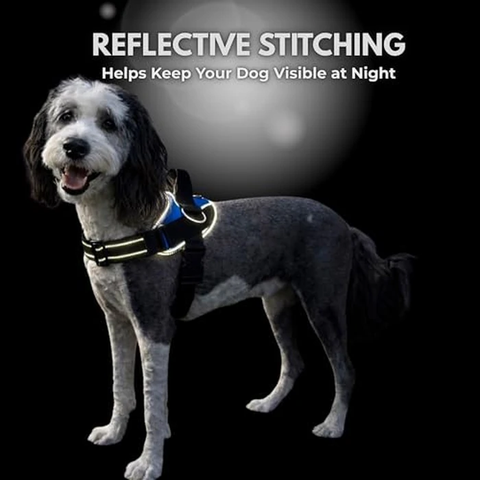 ShawnCo Essential Dog Harness, No-Pull Pet Vest with 3 Leash Clips, No Choke, Reflective, Adjustable and Padded, for Easy Walking and Training for Small, Medium and Large Dogs (Midnight, L) by SHAWNCO - Image 7