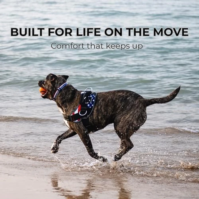 ShawnCo Essential Dog Harness, No-Pull Pet Vest with 3 Leash Clips, No Choke, Reflective, Adjustable and Padded, for Easy Walking and Training for Small, Medium and Large Dogs (Midnight, L) by SHAWNCO - Image 8