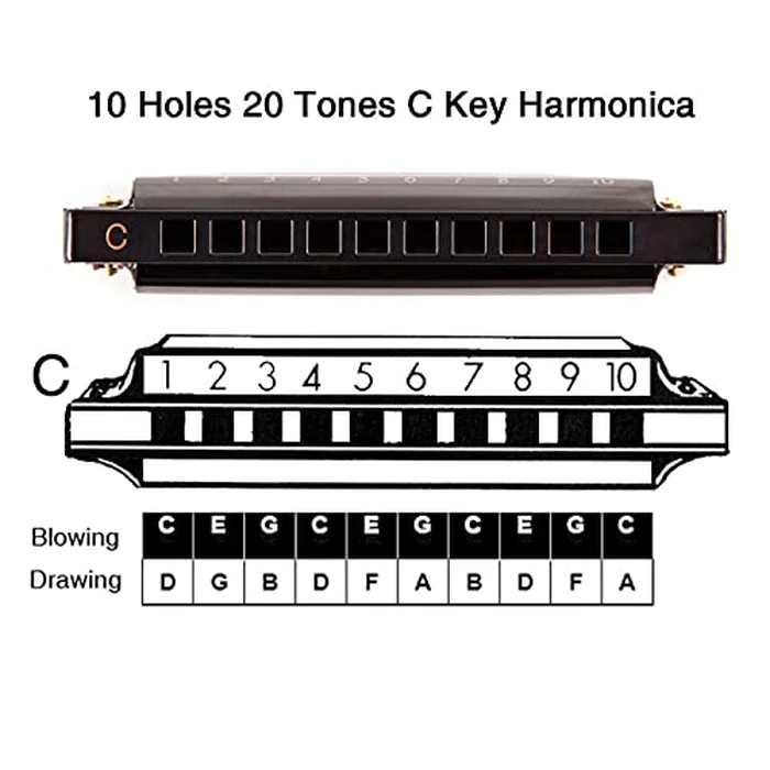 EastRock Blues Harmonica Mouth Organ 10 Hole C Key with Case, Diatonic Harmonica for Professional Player, Beginner, Students gifts, Adult, Friends, Gift Black by EASTROCK - Image 6