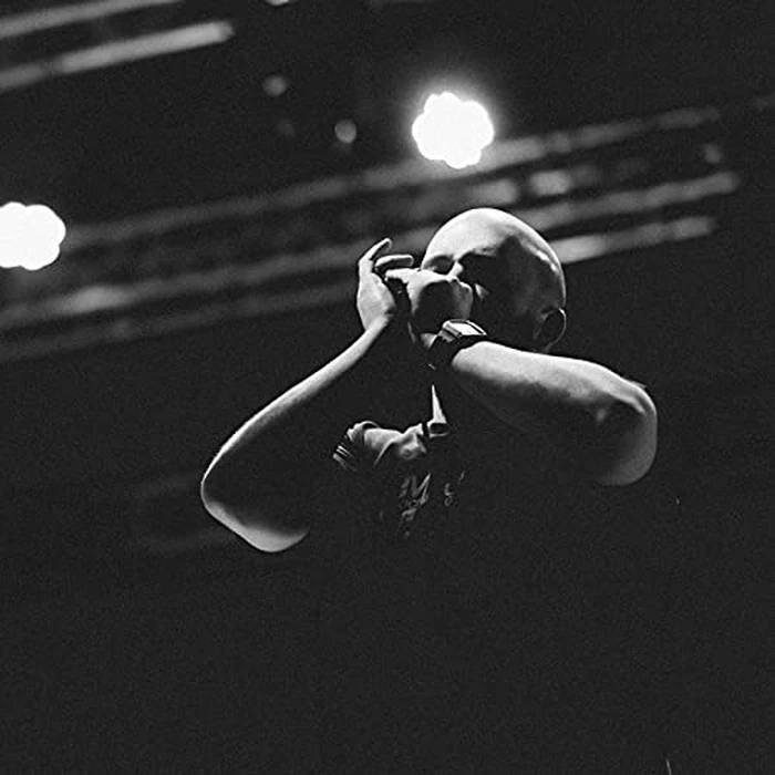 EastRock Blues Harmonica Mouth Organ 10 Hole C Key with Case, Diatonic Harmonica for Professional Player, Beginner, Students gifts, Adult, Friends, Gift Black by EASTROCK - Image 7