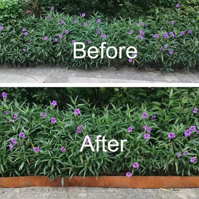 Metal Landscape Edging,5.5Inch x 16FT Garden Edging for Flower Bed,Lawn and Landscape Border (Rusted, 5.5 Inch x 16FT) by UEUORF - Image 8