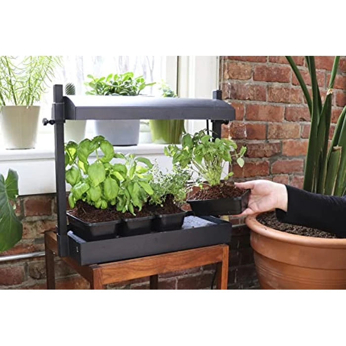 SunBlaster T5HO Indoor Micro Growlight Garden, Home Growing Kit, Black by SunBlaster - Image 4
