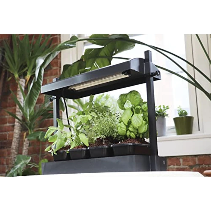 SunBlaster T5HO Indoor Micro Growlight Garden, Home Growing Kit, Black by SunBlaster - Image 7