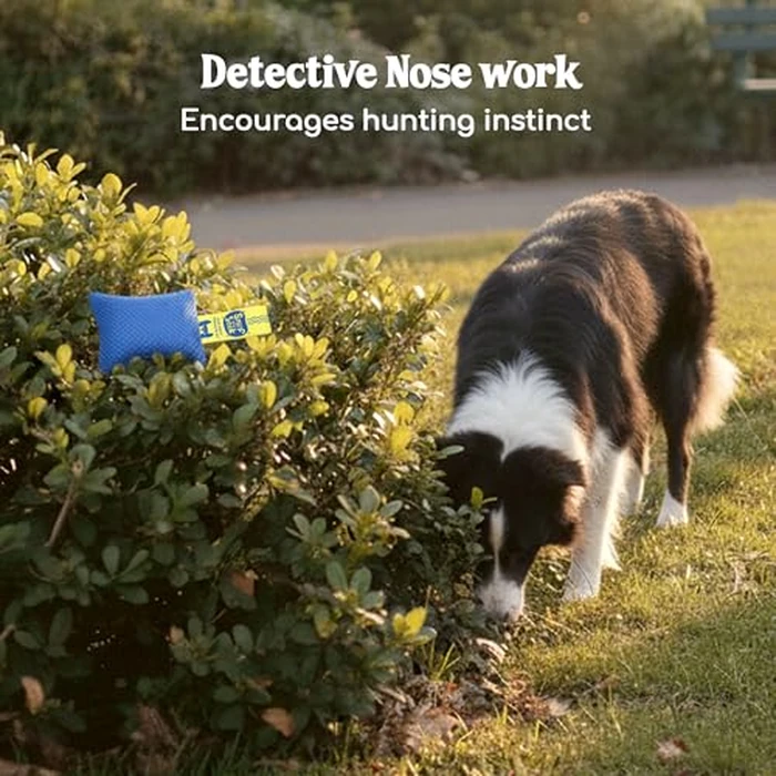 Race&Herd Original Dog Scent Training Kit, Scent Work Training Kit for Dogs - Nosework for Dog Mental Stimulation Agility Training Equipment for Dogs, Brain Games Smell Training Kit for Loss of Smell by Race&Herd - Image 5