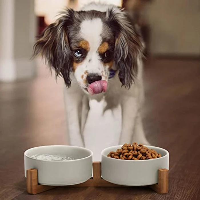 SPUNKYJUNKY Ceramic Dog and Cat Bowl with Wood Stand Non-Slip Matte Glaze Weighted Food Water Set for Cats &Small Dogs 13.5OZ by SPUNKYJUNKY - Image 2