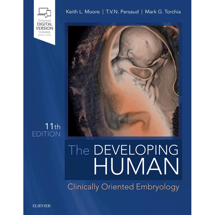 The Developing Human: Clinically Oriented Embryology by Saunders - Used - Good condition