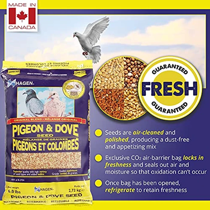 Hagen Pigeon and Dove Staple VME Seeds, 6-Pounds by Hagen - Image 3