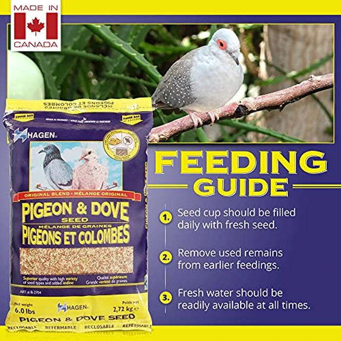 Hagen Pigeon and Dove Staple VME Seeds, 6-Pounds by Hagen - Image 4