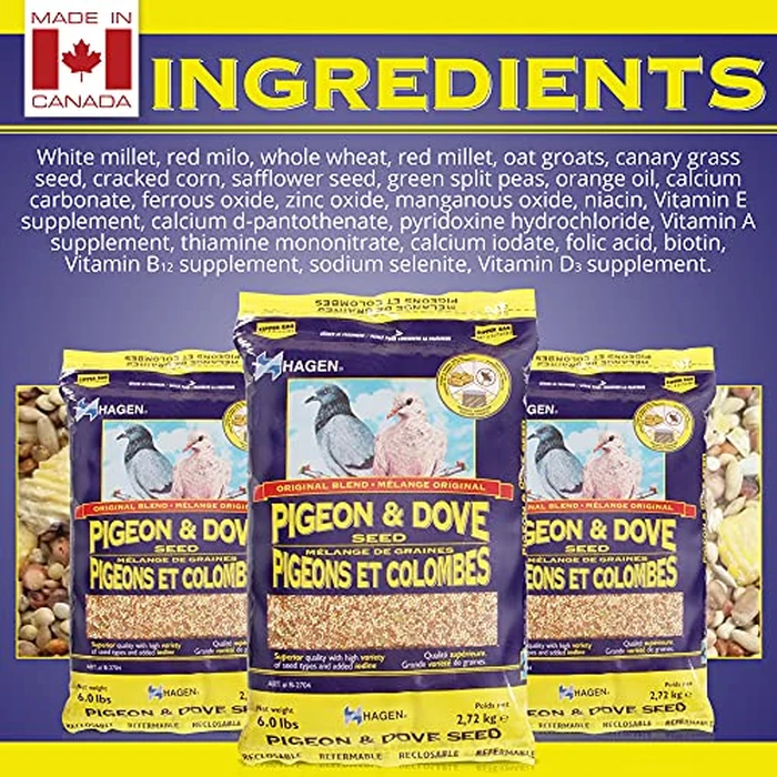 Hagen Pigeon and Dove Staple VME Seeds, 6-Pounds by Hagen - Image 5