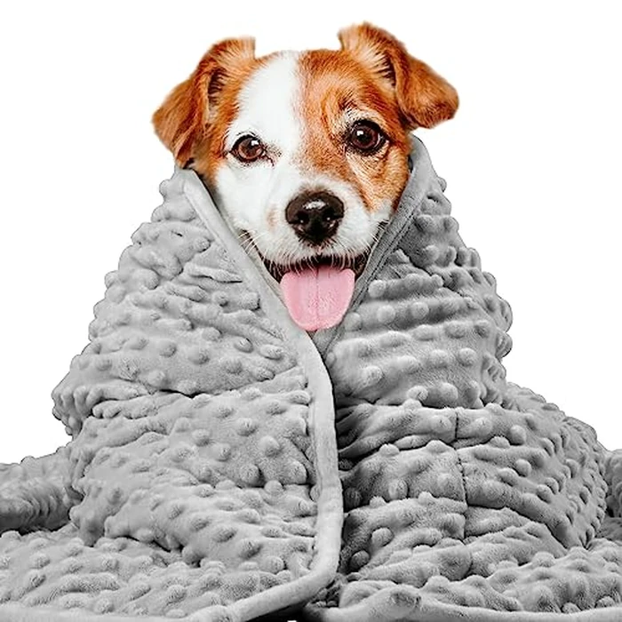 LaSyL Weighted Blanket for Pets | Thunder Blanket for Dogs Anxiety | Premium Soft Minky | Relaxation & Calming & Anti Anxiety | Used in Car, Bed, Couch | Dark Grey, Washable Medium (32"x40") by LaSyL - Image 1