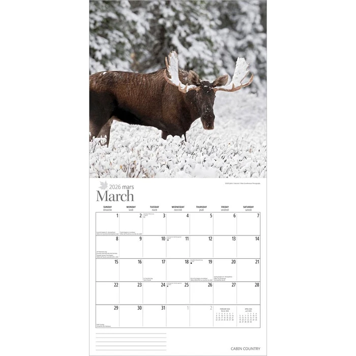 Cabin Country | 2026 12 x 24 Inch (Hanging) Monthly Square Wall Calendar | Wyman Publishing | Outdoor Log Nature Rural by BrownTrout Publishers Ltd. - Image 3