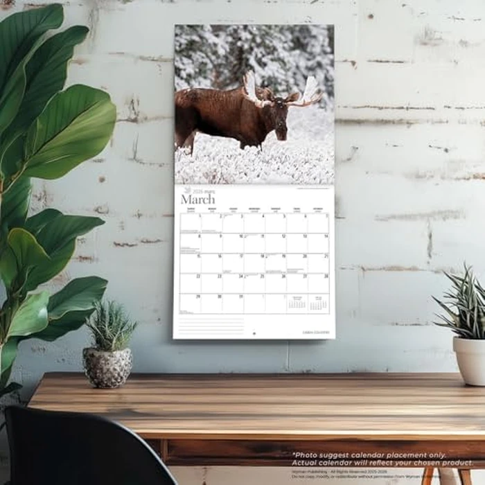 Cabin Country | 2026 12 x 24 Inch (Hanging) Monthly Square Wall Calendar | Wyman Publishing | Outdoor Log Nature Rural by BrownTrout Publishers Ltd. - Image 5