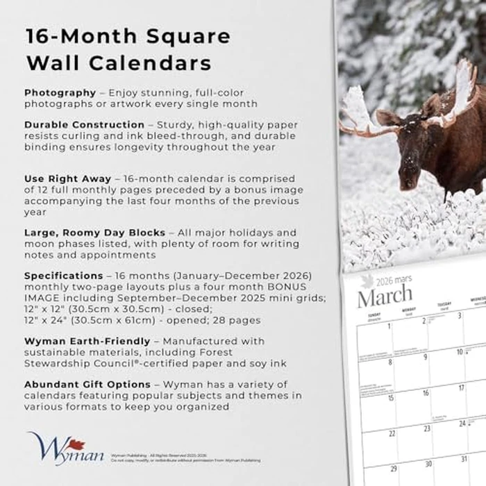 Cabin Country | 2026 12 x 24 Inch (Hanging) Monthly Square Wall Calendar | Wyman Publishing | Outdoor Log Nature Rural by BrownTrout Publishers Ltd. - Image 6