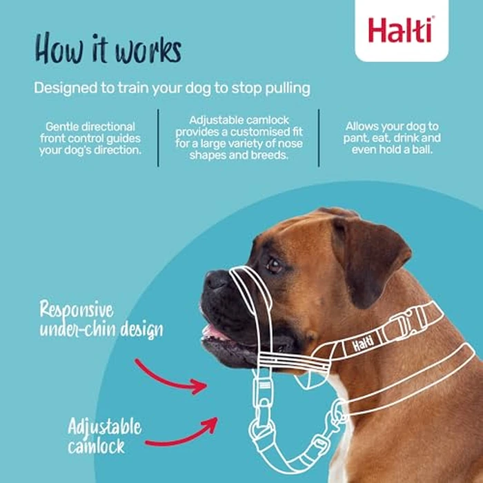 Halti Optifit Headcollar Size Medium & Halti Training Leash Size Large, Black Combination Pack - Stop Your Dog Pulling on the Leash. Adjustable with Padded Nose Band. Suitable for Medium Dogs by Halti - Image 2