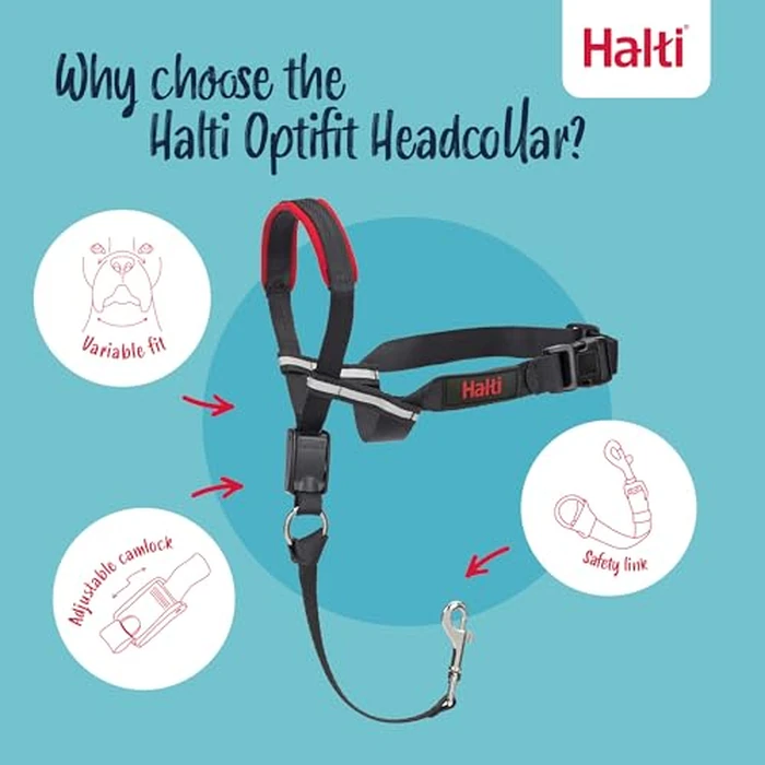 Halti Optifit Headcollar Size Medium & Halti Training Leash Size Large, Black Combination Pack - Stop Your Dog Pulling on the Leash. Adjustable with Padded Nose Band. Suitable for Medium Dogs by Halti - Image 3