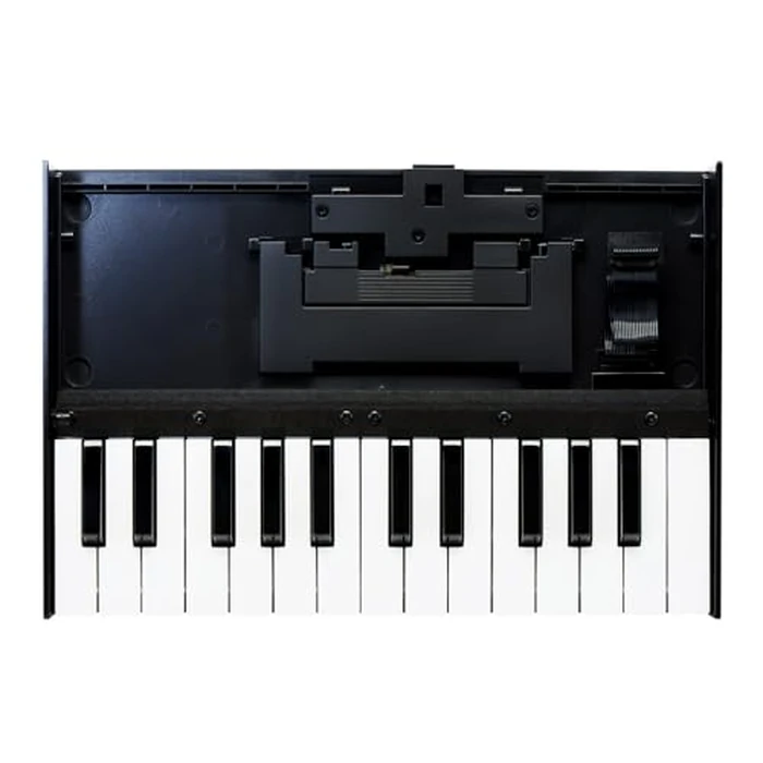 Roland K-25M Boutique Module Dock USB MIDI Keyboard, 12 inch (K-25M) by Roland - Image 1