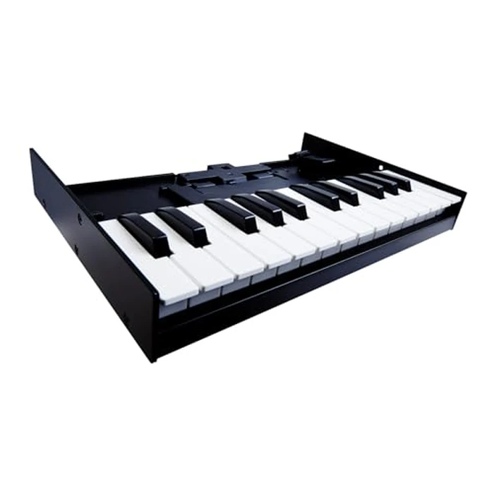 Roland K-25M Boutique Module Dock USB MIDI Keyboard, 12 inch (K-25M) by Roland - Image 4