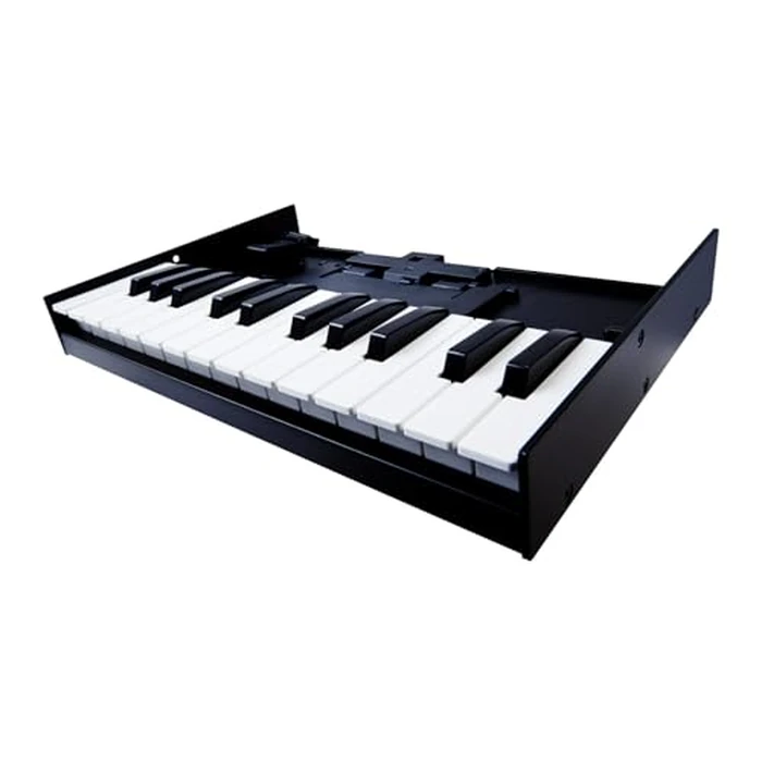 Roland K-25M Boutique Module Dock USB MIDI Keyboard, 12 inch (K-25M) by Roland - Image 5