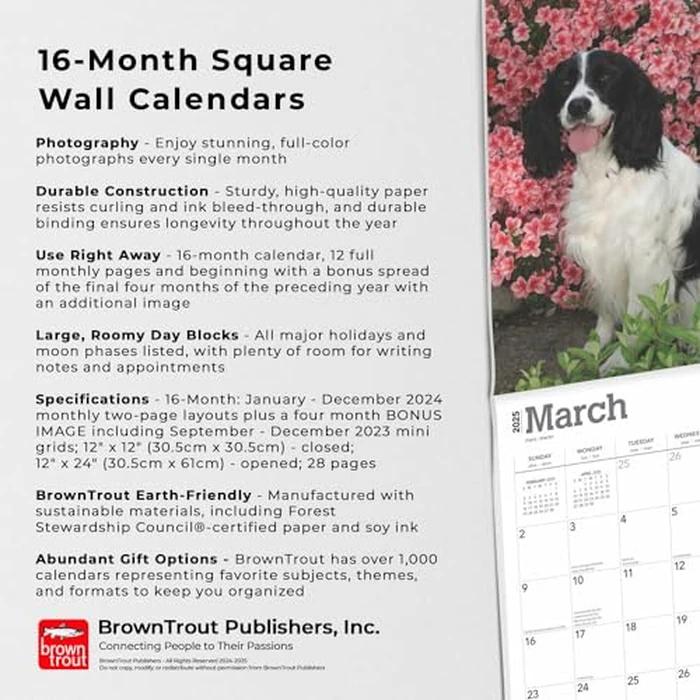 English Springer Spaniels | 2025 12 x 24 Inch Monthly Square Wall Calendar | BrownTrout | Animals Dog Breeds by BrownTrout - Image 4