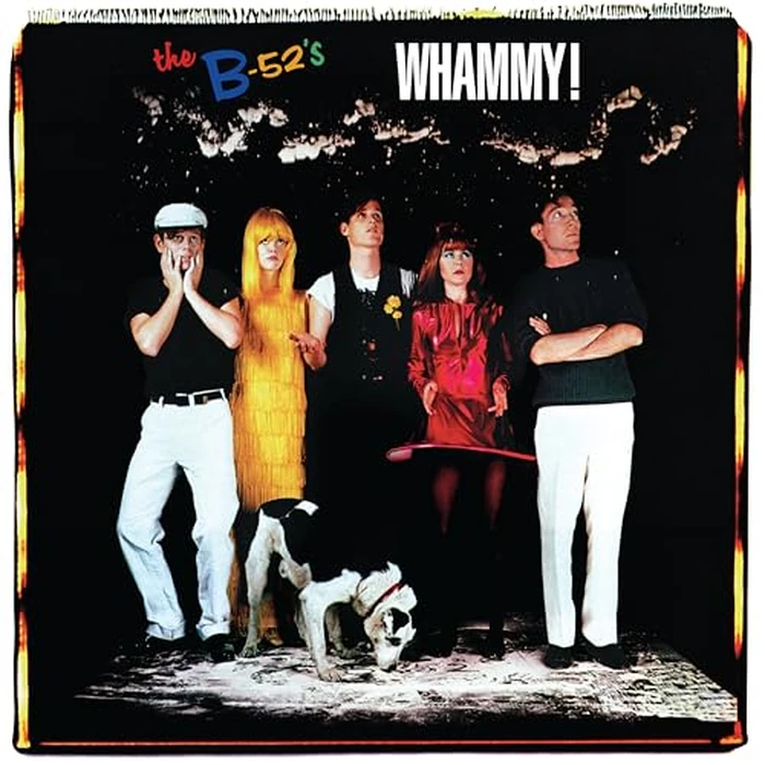 Whammy (40th Anniv)(Black/Gree by RHINO WARNER - Used - Like New condition