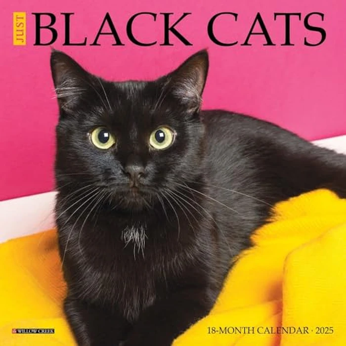 Just Black Cats 2025 7" x 7" Mini Wall Calendar by WILLOW CREEK - Used - Like New condition - CA$4.25