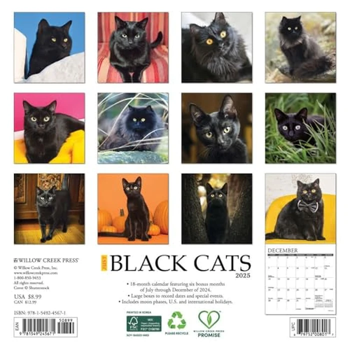 Just Black Cats 2025 7" x 7" Mini Wall Calendar by WILLOW CREEK - Image 2